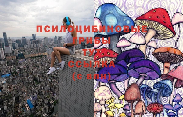бошки Волосово