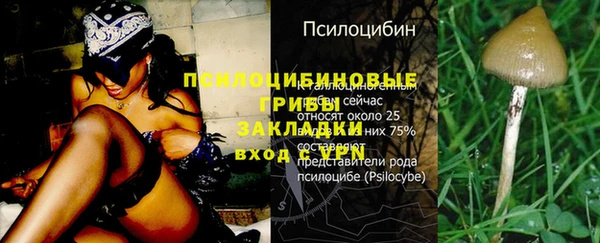 бошки Волосово