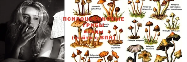 бошки Волосово